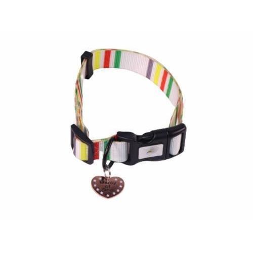 MJ Dog Premium Pattern Collar 2.5cm x 50 - 65cm