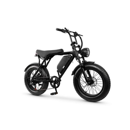 Advanced 48V 20Ah 2-Seater Off-Road Fat Tire Electric Bike with Removable Lithium-Ion Battery, Dual Disc Brakes, LED Headlight & Rear Seat