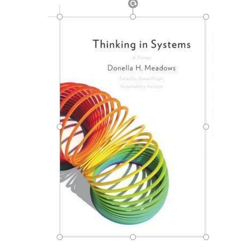 Thinking In Systems: A Primer Donella H. Meadows , Diana Wright BIG PRINT