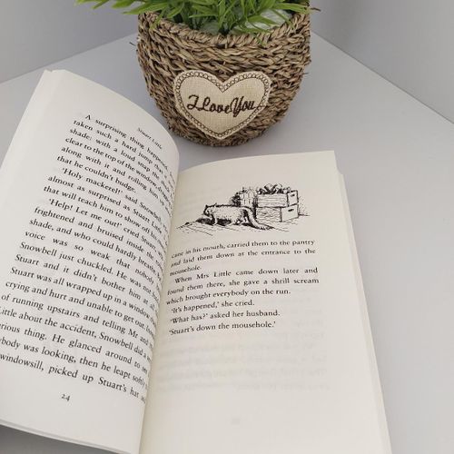 Stuart Little E.B. White Children Storybook Fiction Kids Story Books English Chapter Bedtime Reading School Library Gift Illustrated Classic Puffin Paperback Mouse Adventure Animal