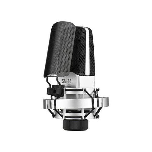 Takstar-SM-18 EL Professional Recording Microphone Cardioid
