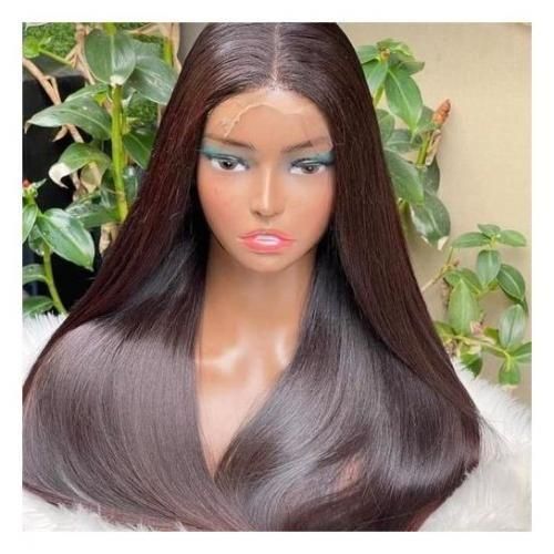 Long Straight T Frontal Highlight Premium Blend Wig