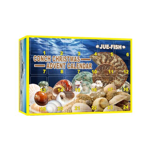 Christmas Conch Mystery Box Adorable Mysterious Christmas Gift for Girls Boys Family Friends as Great Xmas GiftsDefault NO5245