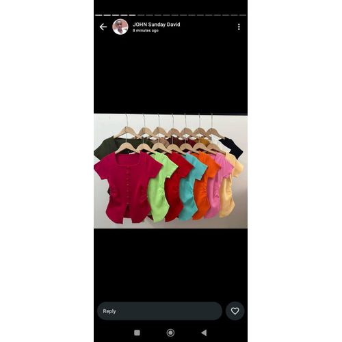 Classic Cooperate Office Ladies blouse 1pcs