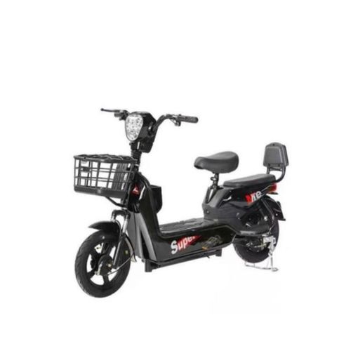 Eco-Friendly Heavy Duty Electric Bike