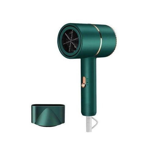 Portable Hair Dryer, Negative Ion Technology, 59-Second Quick Drying, Low Noise, Foldable Design, Green, 220V