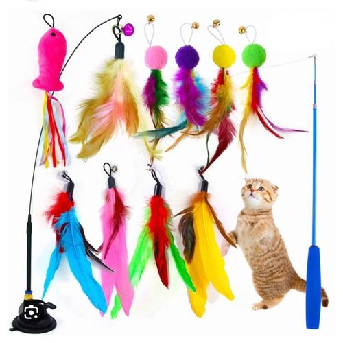 cat teaser toy