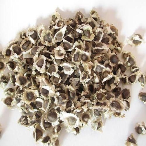 Organic Moringa Seed - 100g