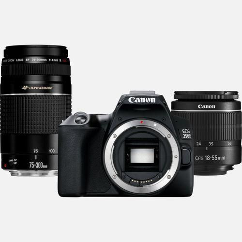 Canon Ink Cartt EOS 250D DSLR Camera With 18-55mm And 75-300mm Lens