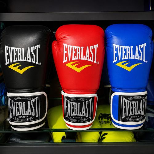 Everlast training/boxing glove