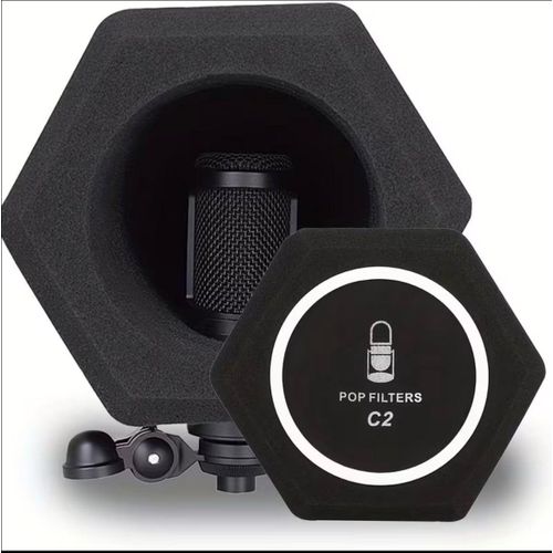 Professional Microphone Pop Filter with Windscreen, Studio Reflection Shield for Noise Reduction and Sound Isolation – Ideal for Recording, Singing, Podcasts, and Live Streaming - Alctron PF8