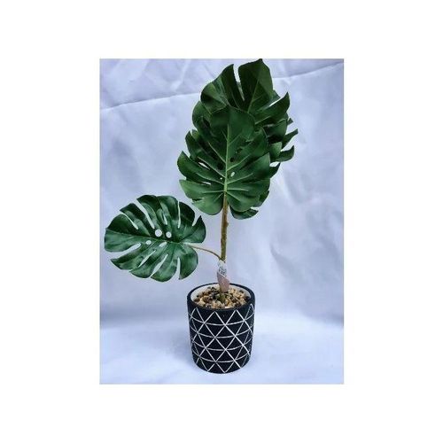 Artificial Plant Fiddle Desert Plant