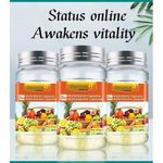 Daynee Multivitamin Capsule Soft Gel Vitamins And Minerals