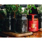 product_image_name-Primal by Nature-MGO 970+ Manuka 250 Grams UMF 22+  -3