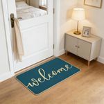 product_image_name-EiFESS-Welcome Entrance Lettered Flax Door Mat blue-5
