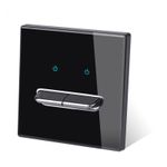 Generic 2-Gang Glass Panel Smart Touch Wall Switch