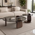 2in1 Modern Coffee Center Table