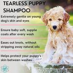product_image_name-PET CARE Sciences- Puppy Shampoo 16oz Anti Itch-2