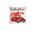 Loads Of Love Throw Pillow (45x 45cm) - Pillow Cover Only