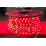 50 Meter Red  Rope Light 