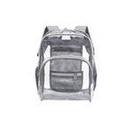 Generic Gray Transparent Backpack - image 2