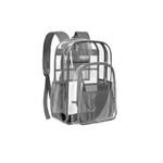 Generic Gray Transparent Backpack - image 4