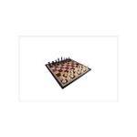 Generic Brains Educational Chess Board Game - image 2