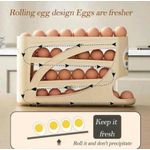 Generic Egg tray - image 5