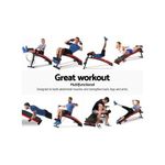 Generic Perfectly DECLINE SIT-UP BENCH - image 3