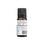 AROMA LAND Pine Needle Essential Oil 10ml. (1/3oz.) - image 2