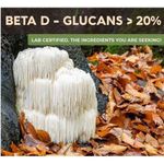 Botanicals Lion's Mane 240 Count - image 4