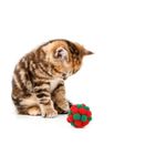 product_image_name-TD-Kitten Plush Ball Multicolour Chew Cat Toy Small 5cm-3