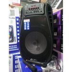 AILIPU  15" Inches Bluetooth Wireless Speaker System With Microphone