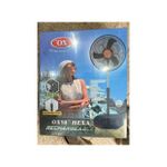 Ox Rechargeable standing fan 18 inches 