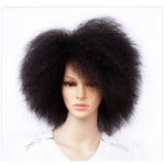 Kinky Curly Short Afro Wigs-1b