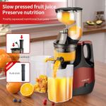 Sokany 880W Powerful Whole Slow Juicer