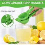Generic Lemon Manual Squeeze - image 2