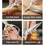 product_image_name-Generic-Scissors-6