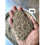 Organic Cumin Seeds - 1kg