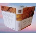 Generic Amplified Holy Bible Giant Print Hardcover