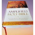 Generic Amplified Holy Bible Giant Print Hardcover - image 6