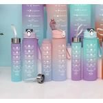 product_image_name-Generic-2-in-1 3D Sticker Motivational Drinkware Straw Water Bottle-1