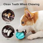 product_image_name-TD-Dog & Cat Ball Rubber Interactive Treat Bite Chew Toy-4