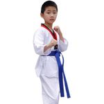 Generic Taekwondo Martial Art Karate Belt - image 5