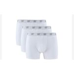 Boxers