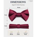 PABANI Pabani Executive Wine Mens Bow Tie For Receptions - image 3