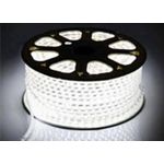 Rope Light 50meters Cold white