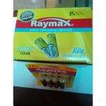 RAYMAX AA Alkaline Batteries LR6 1.5V, 48pcs Carton, Extra Long Life