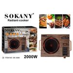 Induction cooker ( 2000w)   