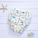 Generic  Toddler Potty Training Pant - image 2